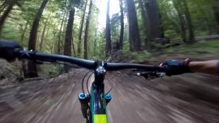 The Fun Parts of Skeggs Point  MTB [upl. by Mezoff]