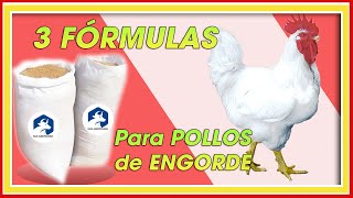 POLLOS de ENGORDE 3 FÓRMULAS GRATIS INICIO CRECIMIENTO y FINAL ǀ Ing Jannin Hernández Blandón [upl. by Gorey]