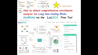 Analysis and Enrichment of Long NonCoding RNA lncRNA for Humans via LncSEAs Comprehensive Tool [upl. by Jada41]