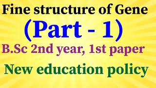 FINE STRUCTURE OF GENE PART 1BSC 2nd year ZOOLOGY [upl. by Davon]