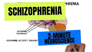 2Minute Neuroscience Schizophrenia [upl. by Uahsoj573]