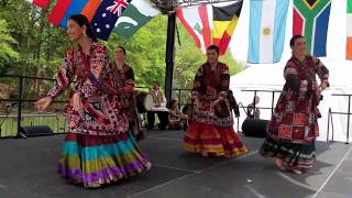 Pakistani dance by Sanam Studios Dancers Sindhi song [upl. by Ballinger]