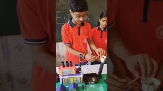 Water filtration project BY CLASS 10th STUDENTSCIENCE LAB PROJECTS 🥼🔬balvidyamodelschool education [upl. by Aniham533]