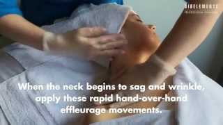 Windmill Neck Effleurage Bioelements Facial Massage Spotlight [upl. by Guise]