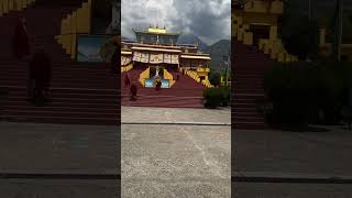 Gyuto monastery  Dharamshala [upl. by Eigriv666]