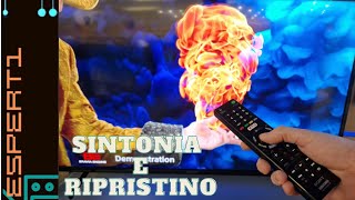 Come sintonizzare e ripristinare una TV Sony [upl. by Irec]