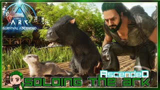 Breeding my Perfect Megatherium Soloing the Ark Ascended 50 [upl. by Evangeline]