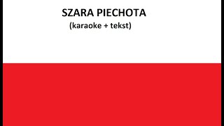 Szara Piechotapieśń patriotyczna karaoke  tekst [upl. by Ecirahc366]