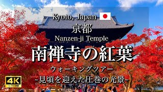 Autumn Leaves at Nanzenji Temple in Kyoto Japan  Full Bloom 4K [upl. by Ailegave]