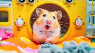 Hamster’s Daring Escape from the Iron Maze 🐹⚙️ Hamster Maze [upl. by Oniluap]