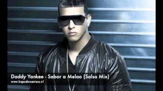 Daddy Yankee  Sabor a Melao Salsa Mix [upl. by Tam140]