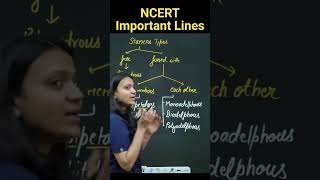 Types Of Stamens  Revision Biology NEET  NCERT important lines for NEET  medicalentrance neet [upl. by Nalyt835]