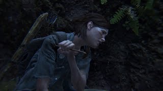 The Last Of Us 2 Stealth Kills The Seraphites [upl. by Asinet964]