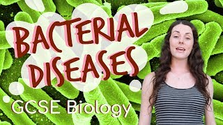 Bacterial diseases  GCSE Biology Revision for 2020 [upl. by Aicnelav]