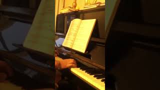 VALSE SENTİMANTALE OP 50 NO 31 Franz Schubert 🧿🧿🧿🧿🧿🧿🧿 [upl. by Edd]