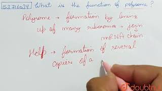 What is the function of polysome   CLASS 11  CELL  THE UNIT OF LIFE  BIOLOGY  Doubtnut [upl. by Veator906]