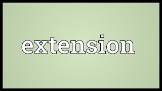 Extension Meaning [upl. by Noakes173]