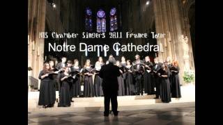 Scarborough Fair  NHS Chamber Singers France Tour 2011 [upl. by Dowski]