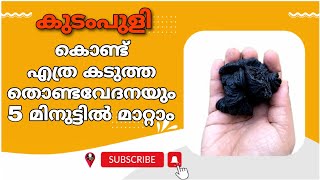 തൊണ്ട വേദന ഇനി ഒരു ശല്യം ആകില്ല  severe throat pain home remedies malayalam  thonda vedana maran [upl. by Lemej]