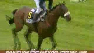 Grand steeplechase de Paris 2007 [upl. by Lorine]