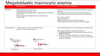 Macrocytic anemia  Hematology  Step 1 Simplified [upl. by Heindrick243]