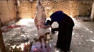 ButcherThe brave butcher Professional female butcher butchering sheep and preparing offal [upl. by Acinhoj331]