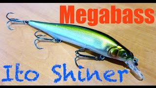 Megabass Ito Shiner Review  Underwater Footage [upl. by Nerin873]