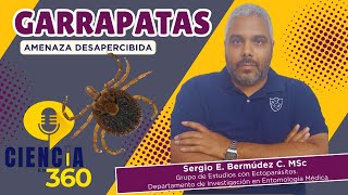 Garrapatas amenaza desapercibida [upl. by Annoif]