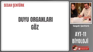 DUYU ORGANLARI  GÖZ  AYT BİYOLOJİ  11SINIF  YKS 2025 [upl. by Colwin]