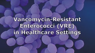 VancomycinResistant Enterococci VRE in Healthcare Settings [upl. by Harbird]