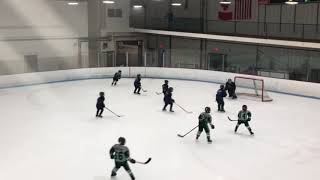 20192020 Game Highlights  Alaska Oilers 10U Major [upl. by Ewen144]