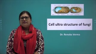 Cell ultrastructure of fungi कवक कोशिका की परासरंचना [upl. by Eemiaj]