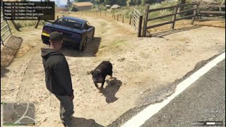 How To Teach Chop Tricks In GTA 5 [upl. by Wachter]