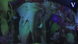 Un circo alemán sustituye los animales reales por hologramas en 3D [upl. by Arrik647]