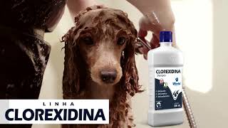 Linha Clorexidina World Veterinária [upl. by Idona]