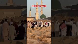 Jannat Ul Baqi Madina 🤲  Exploring the BEAUTY of Jannat ul Baqi in Madina [upl. by Mateo]