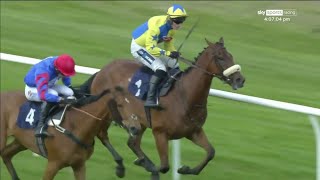 DRAMA Jockey BANNED for 10 days after mistaking winning post at Worcester 😯 [upl. by Relyk314]