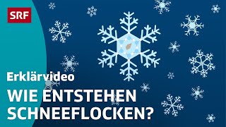 Wie Schnee entsteht – einfach erklärt  Kindervideos  SRF Kids [upl. by Cralg]