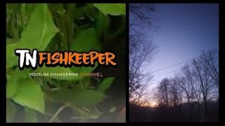 TNFISHKEEPERCOM™ 🐠 A BEAUTIFUL MORNING IN TENNESSEE WEATHER KNOXVILLE TNFISHKEEPER [upl. by Orton]