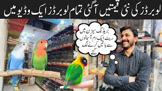 Love Birds Price in 20232024  love Birds Prices in Pakistan leatest  leatest love birds prices [upl. by Adnirod]