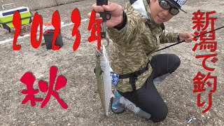 【秋の釣行】新潟で釣り アオリイカなど五目釣り [upl. by Stan]