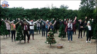 O Tannenbaum  Musikalischer Adventskalender [upl. by Frieder]