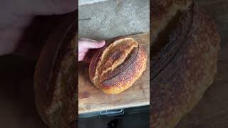 Homemade bread with lievito madre [upl. by Ynehteb]