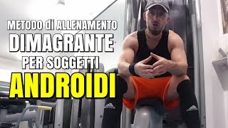 ALLENAMENTO DIMAGRANTE per soggetto ANDROIDE ⚫ Esempio di WORKOUT con gli ESERCIZI migliori [upl. by Clim]