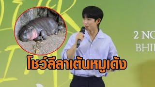 หมูเด้ง ฮอตฉุดไม่อยู่ จองแฮอิน ร้องเต้นเพลงหมูเด้ง  เป็นพรีเซ็นเตอร์ 70 แบรนด์แล้ว [upl. by Nevile]