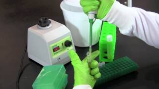 Serial Dilution and Plate Counts [upl. by Gaynor899]