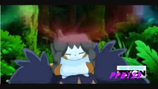 Pachirisu Pikachu Emolga And Snivy Amv Pyromania nightcore [upl. by Enimzzaj]