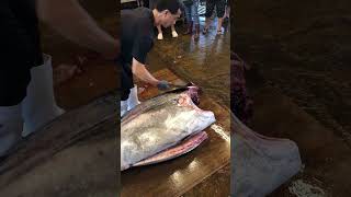 Amazing Bluefin tuna cutting skill with Katana Knife [upl. by Nathanil58]