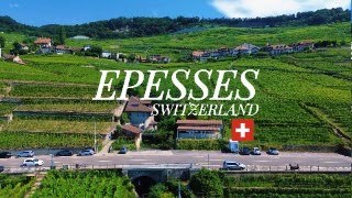 Epesses A Beautiful Village in Switzerland  Lavaux Vineyard Terraces Montreuz Travel Guide [upl. by Harned662]