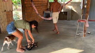 FOMOS PARA O GUAJARÁ DE BALSASAIMOS DE SANTARÉM DE MADRUGADAPORTO DO ANINDUBAAMAZÔNIA [upl. by Melamie558]